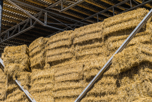 Dehumidifiers for Agricultural sheds